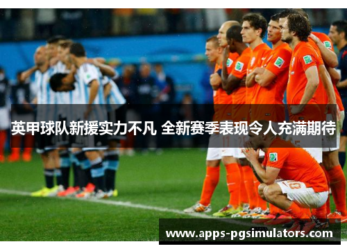 英甲球队新援实力不凡 全新赛季表现令人充满期待