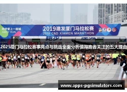 2025厦门马拉松赛事亮点与挑战全面分析值得跑者关注的五大理由