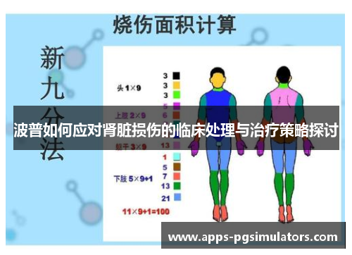 波普如何应对肾脏损伤的临床处理与治疗策略探讨