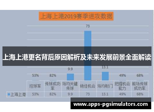 上海上港更名背后原因解析及未来发展前景全面解读