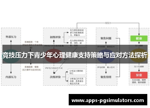 竞技压力下青少年心理健康支持策略与应对方法探析