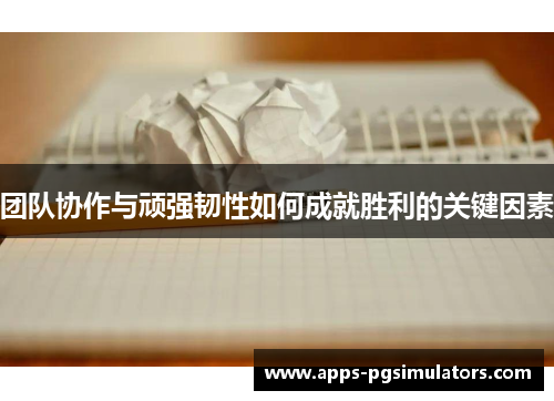 团队协作与顽强韧性如何成就胜利的关键因素