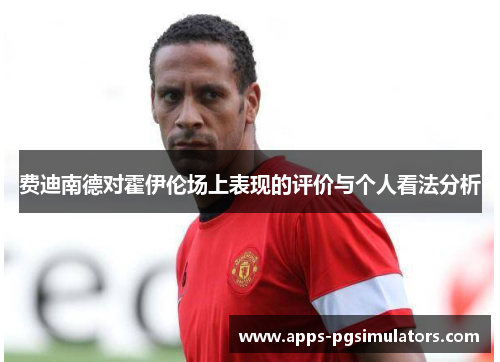 费迪南德对霍伊伦场上表现的评价与个人看法分析 费迪南德对霍伊伦场上表现的评价与个人看法分析