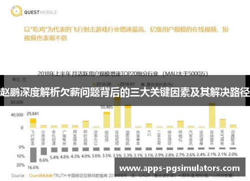 赵鹏深度解析欠薪问题背后的三大关键因素及其解决路径