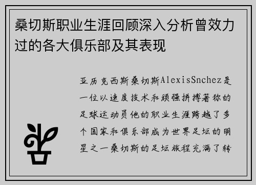 桑切斯职业生涯回顾深入分析曾效力过的各大俱乐部及其表现