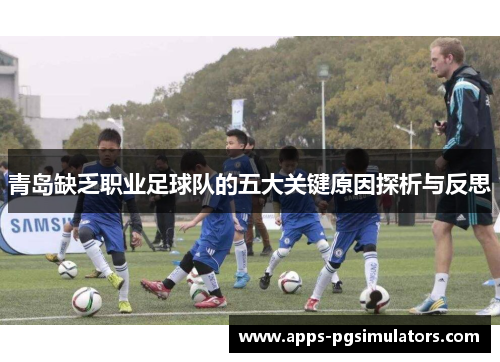青岛缺乏职业足球队的五大关键原因探析与反思
