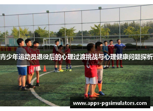 青少年运动员退役后的心理过渡挑战与心理健康问题探析