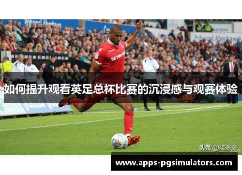 如何提升观看英足总杯比赛的沉浸感与观赛体验