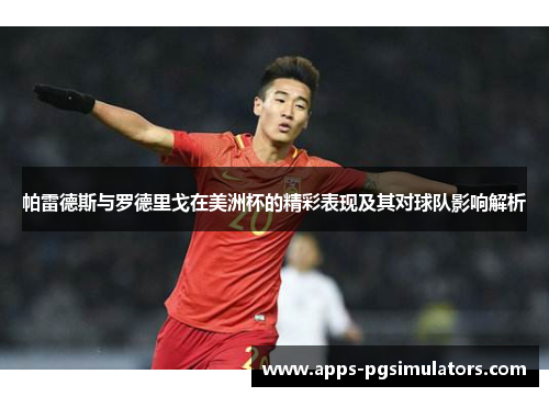 帕雷德斯与罗德里戈在美洲杯的精彩表现及其对球队影响解析