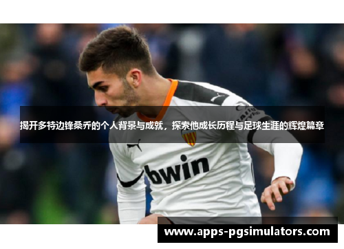 揭开多特边锋桑乔的个人背景与成就，探索他成长历程与足球生涯的辉煌篇章