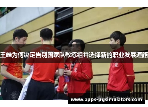王皓为何决定告别国家队教练组并选择新的职业发展道路