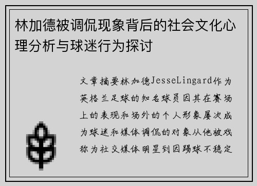 林加德被调侃现象背后的社会文化心理分析与球迷行为探讨